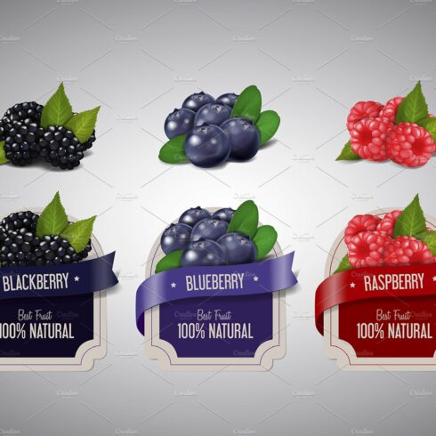 Realistic Berry labels set cover image.