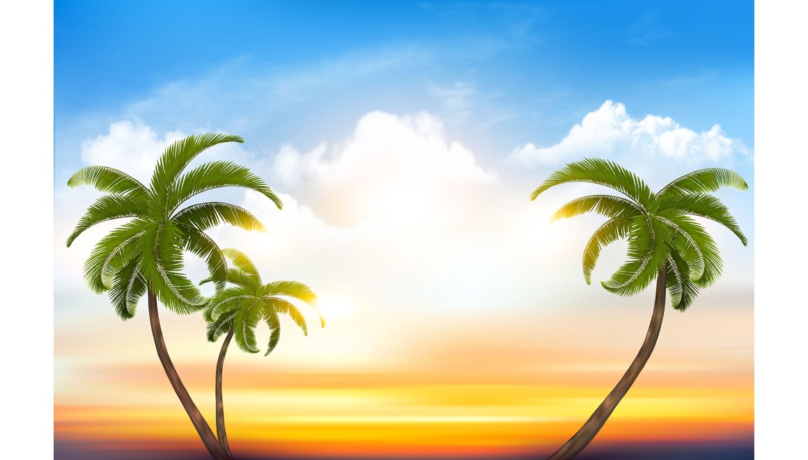 Sunset sky background with palms cover image.