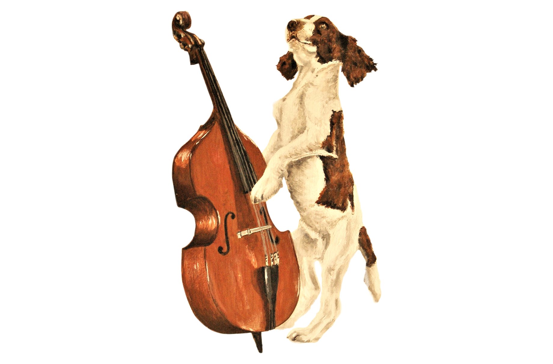 springer on cello 73