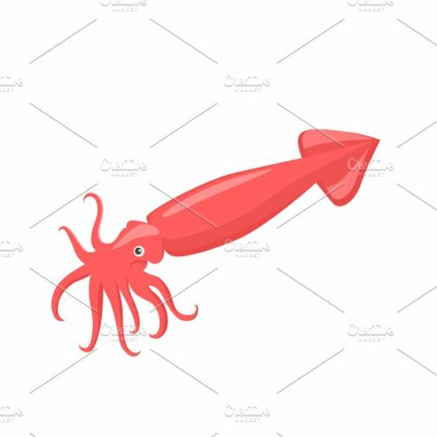 Squid of Red Color Design Flat cover image.