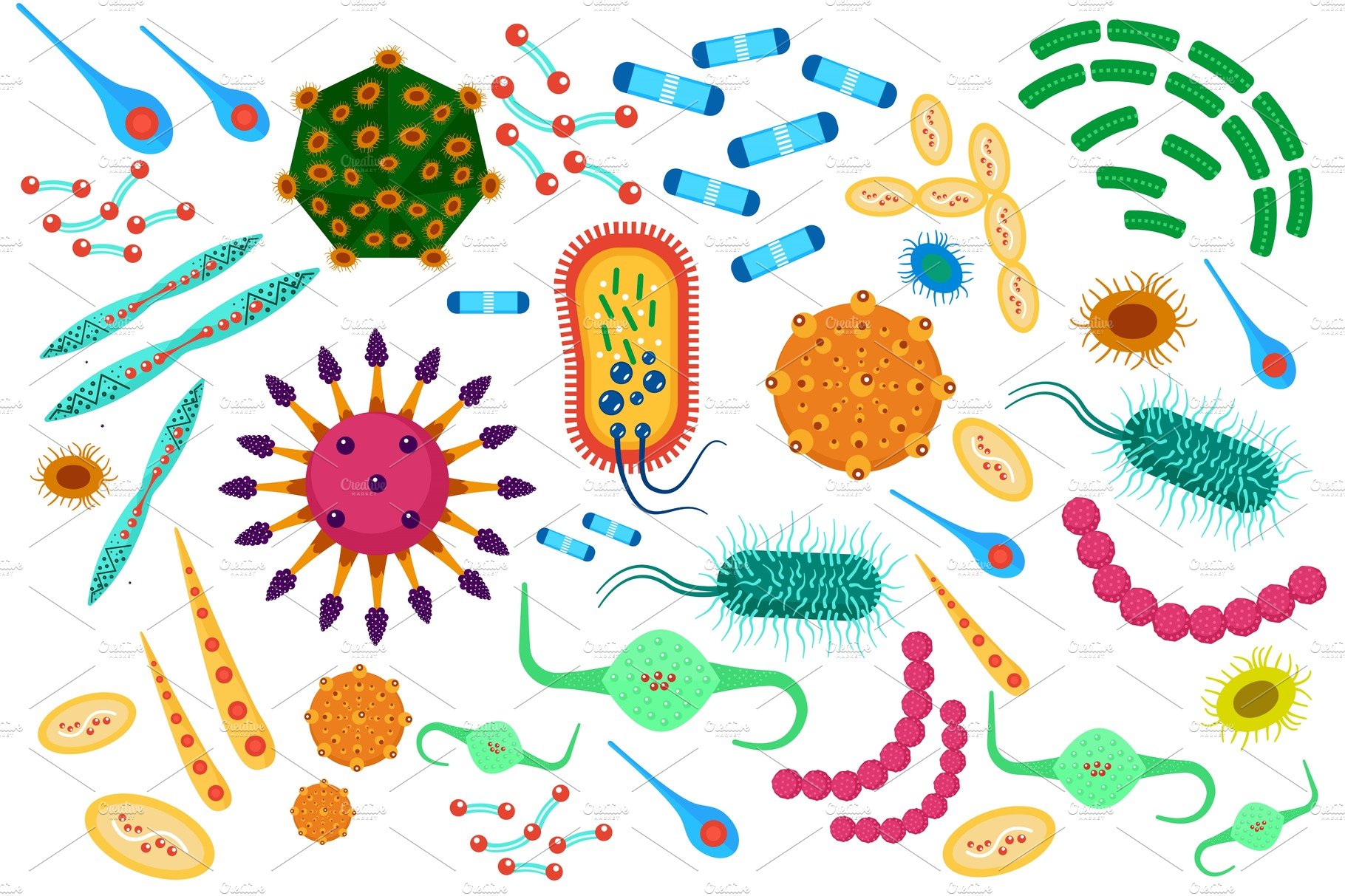 Vector virus bacteria icons set. cover image.