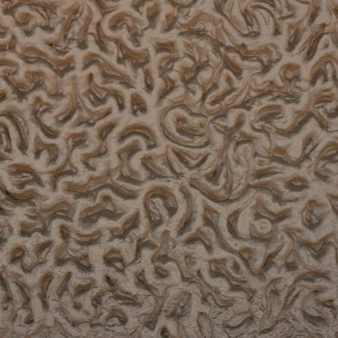 Spiral Concrete Wall cover image.