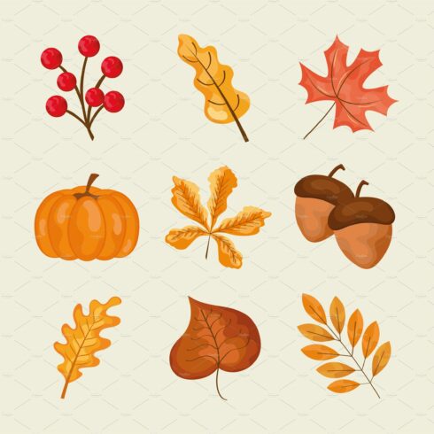 autumn leaves design cover image.