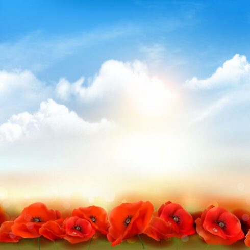 Sunset sky background with Poppies cover image.