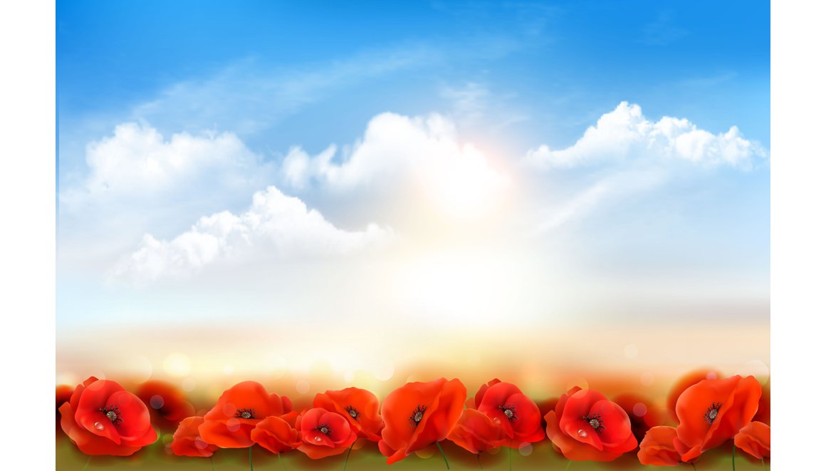 Sunset sky background with Poppies cover image.