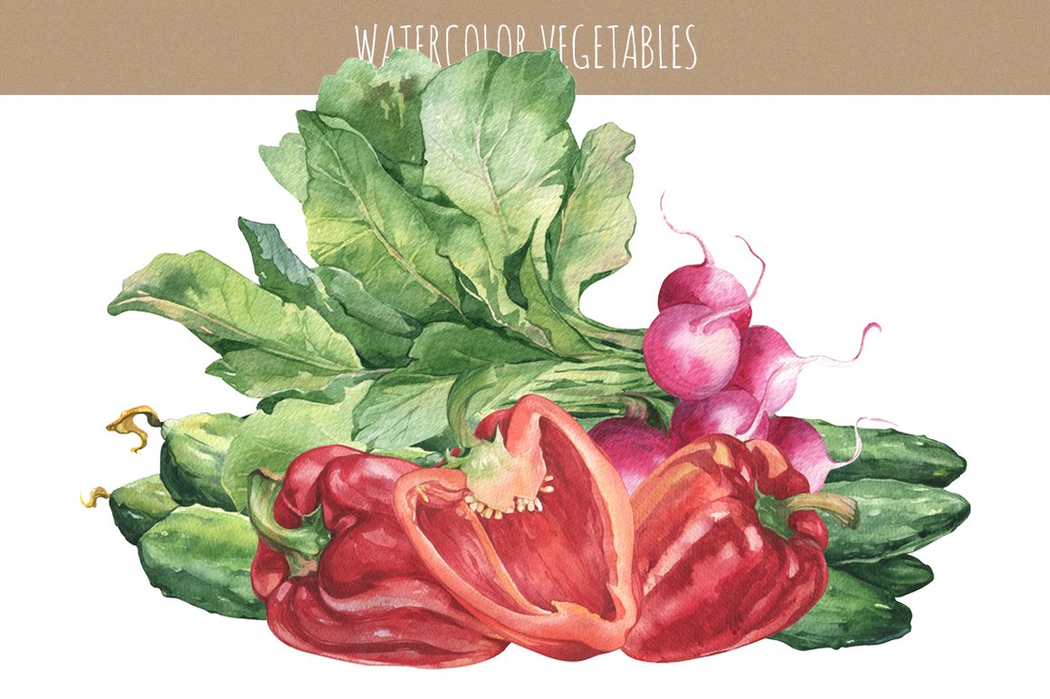 Watercolors vegetables and patterns preview image.