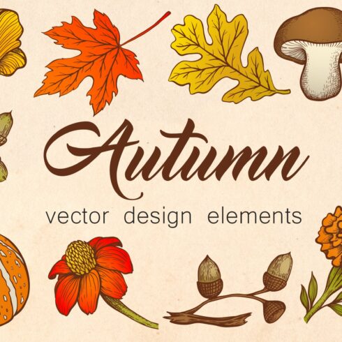 Autumn Vector Design Elements cover image.