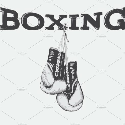 boxing gloves cover image.
