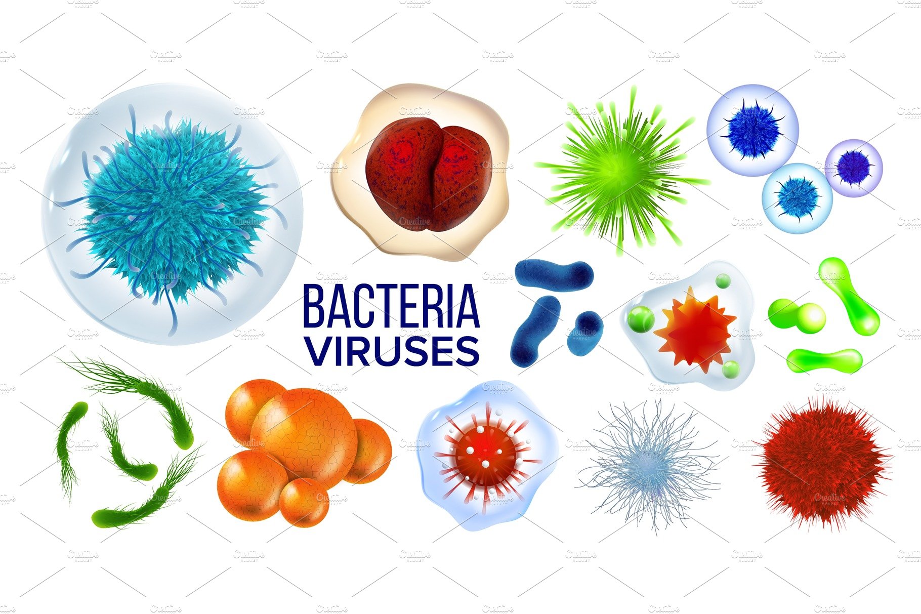 Microscopic Viruses Bacteria – MasterBundles