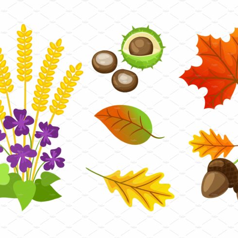 Autumn Floral Elements Chestnut cover image.