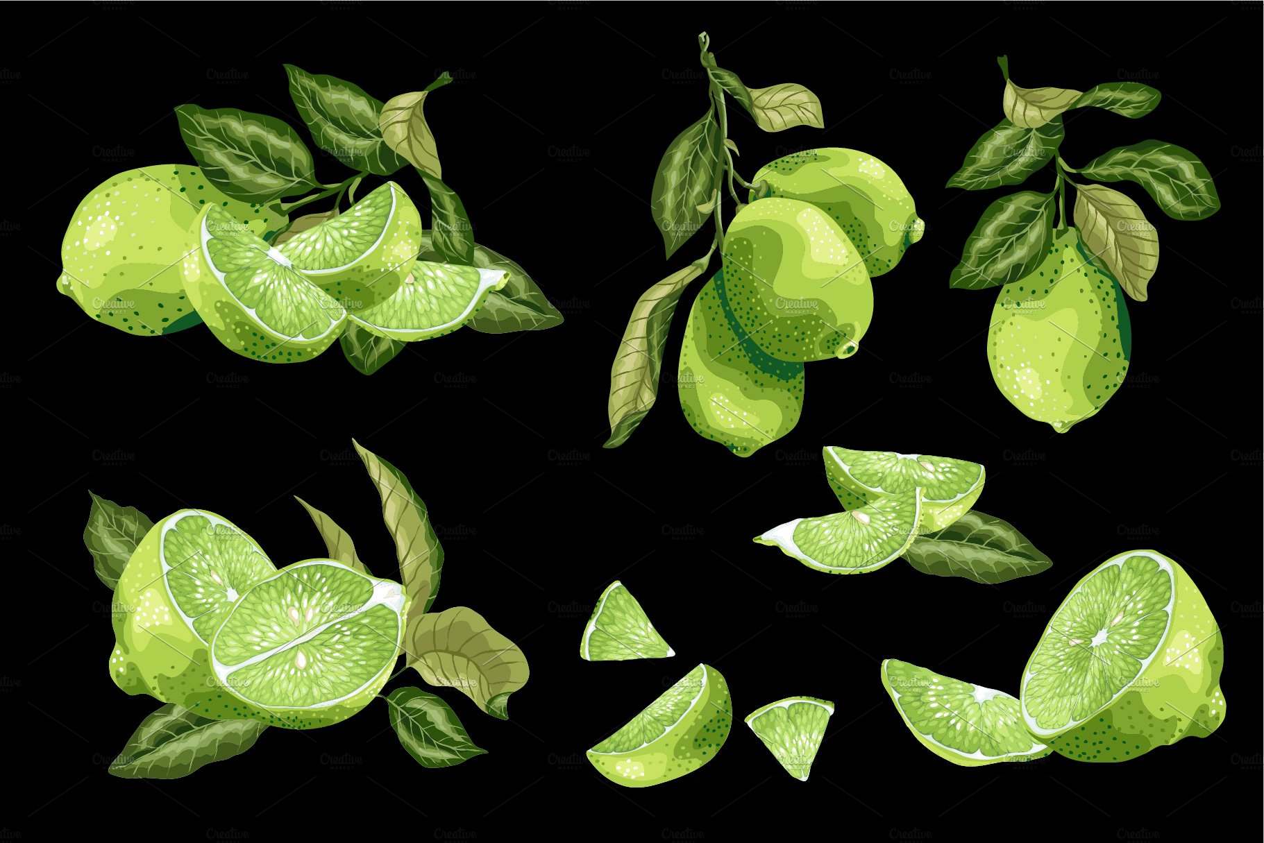 Citrus Lime Set with Fruits, Slices cover image.