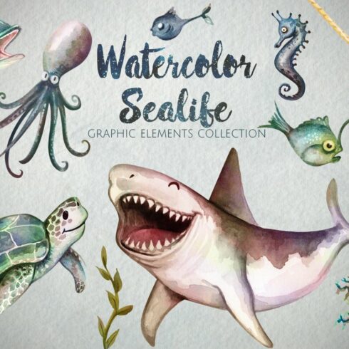 Watercolor Sea Life Graphics cover image.