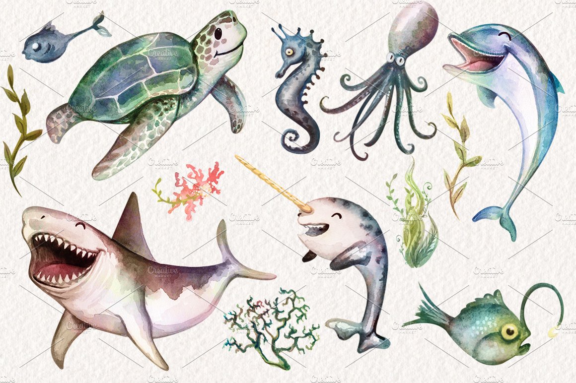 Watercolor Sea Life Graphics preview image.