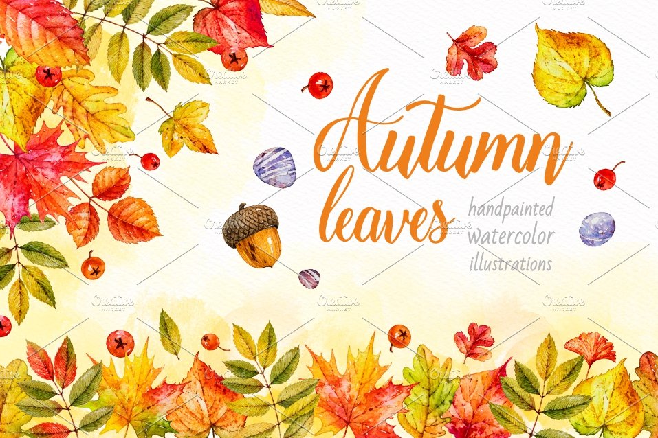 Autumn leaves. Watercolor collection cover image.