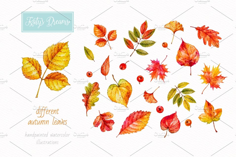 Autumn leaves. Watercolor collection preview image.