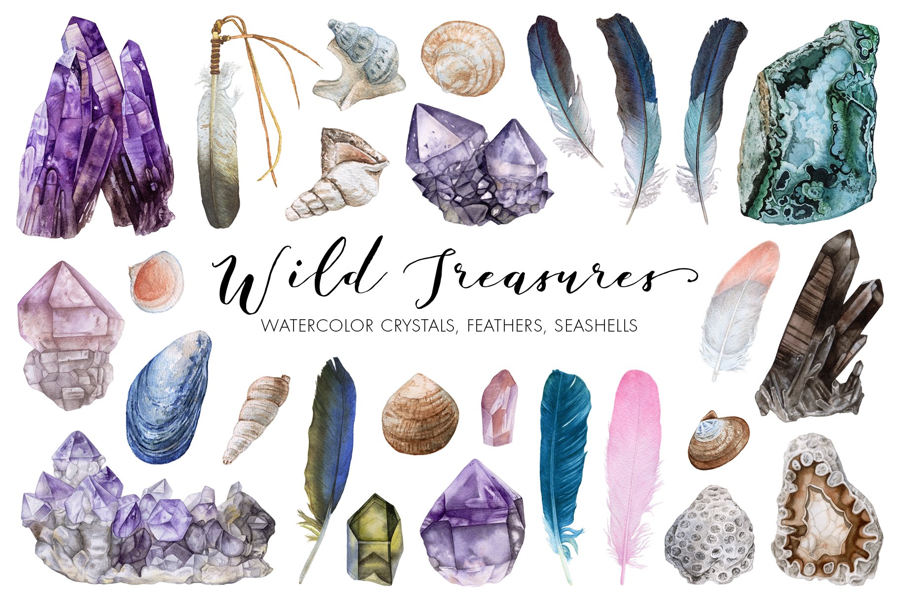 Wild Treasures cover image.