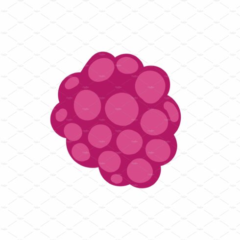 Raspberry on white background vector cover image.