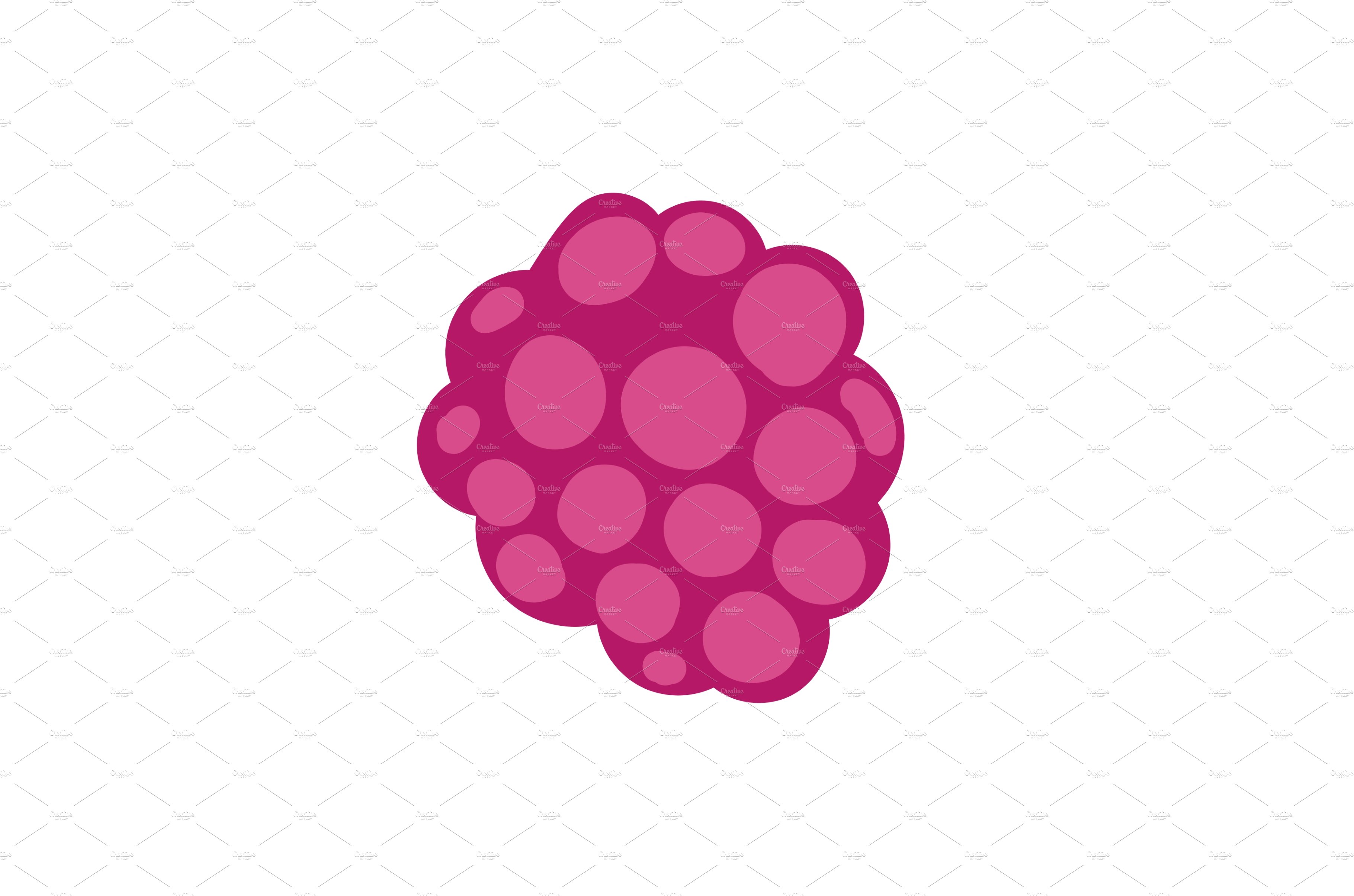 Raspberry on white background vector cover image.