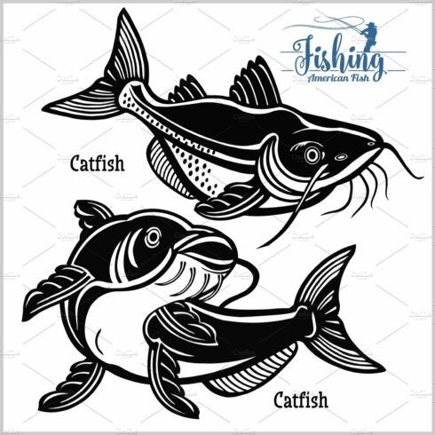 Catfish - vector set fishing on usa cover image.