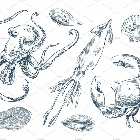 Isolated on White Seafood Vector cover image.