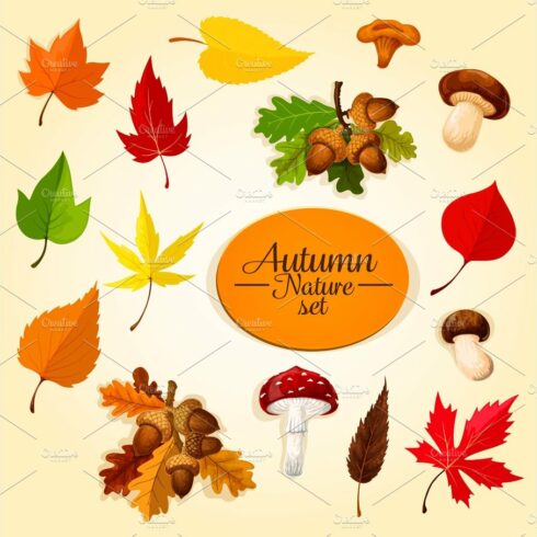 Autumn season icon set with leaf and mushroom cover image.