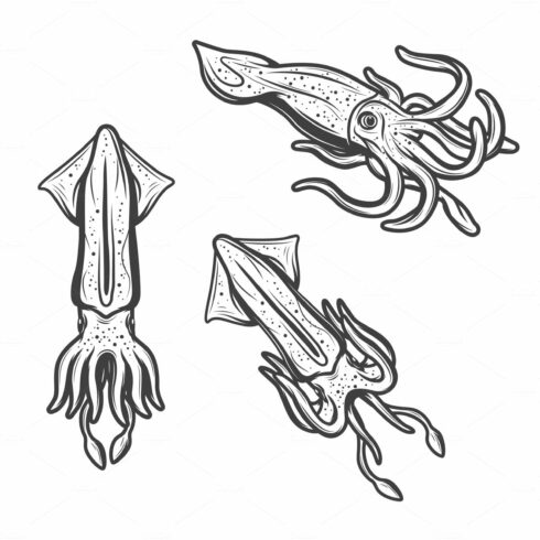 Squids, seafood monochrome icons cover image.