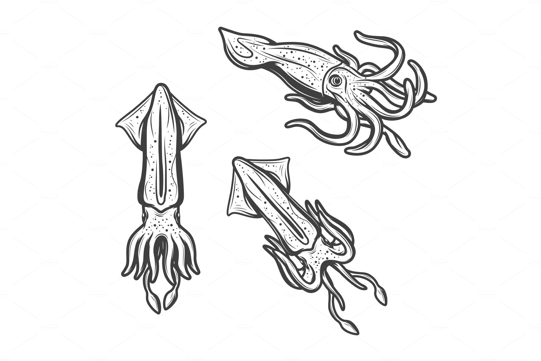 Squids, seafood monochrome icons cover image.