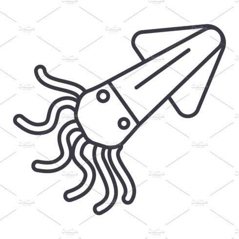 squid,calamary vector line icon, sign, illustration on background, editable... cover image.