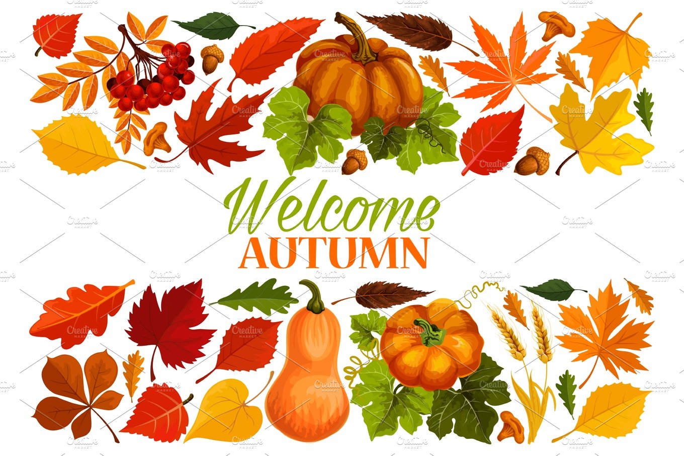 Autumn banner with border of fall leaf, pumpkin cover image.