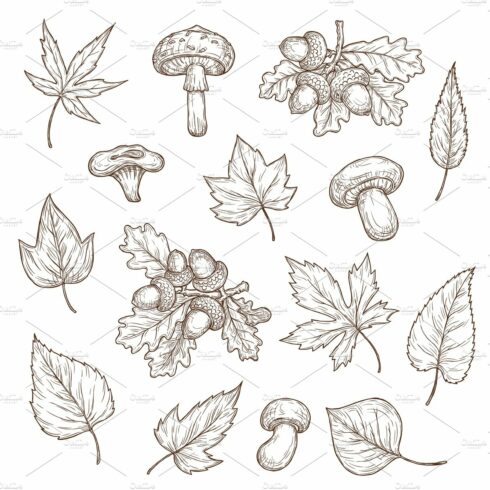 Autumn leaves, mushrooms, acorns cover image.