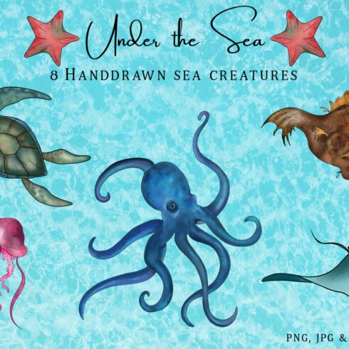 Under the Sea - Ocean Creatures cover image.