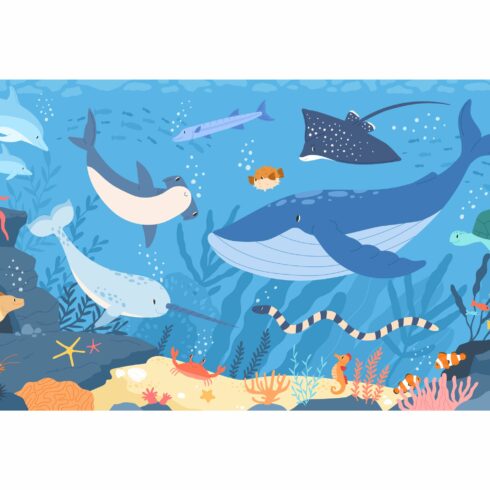 Fish and marine animals in ocean cover image.