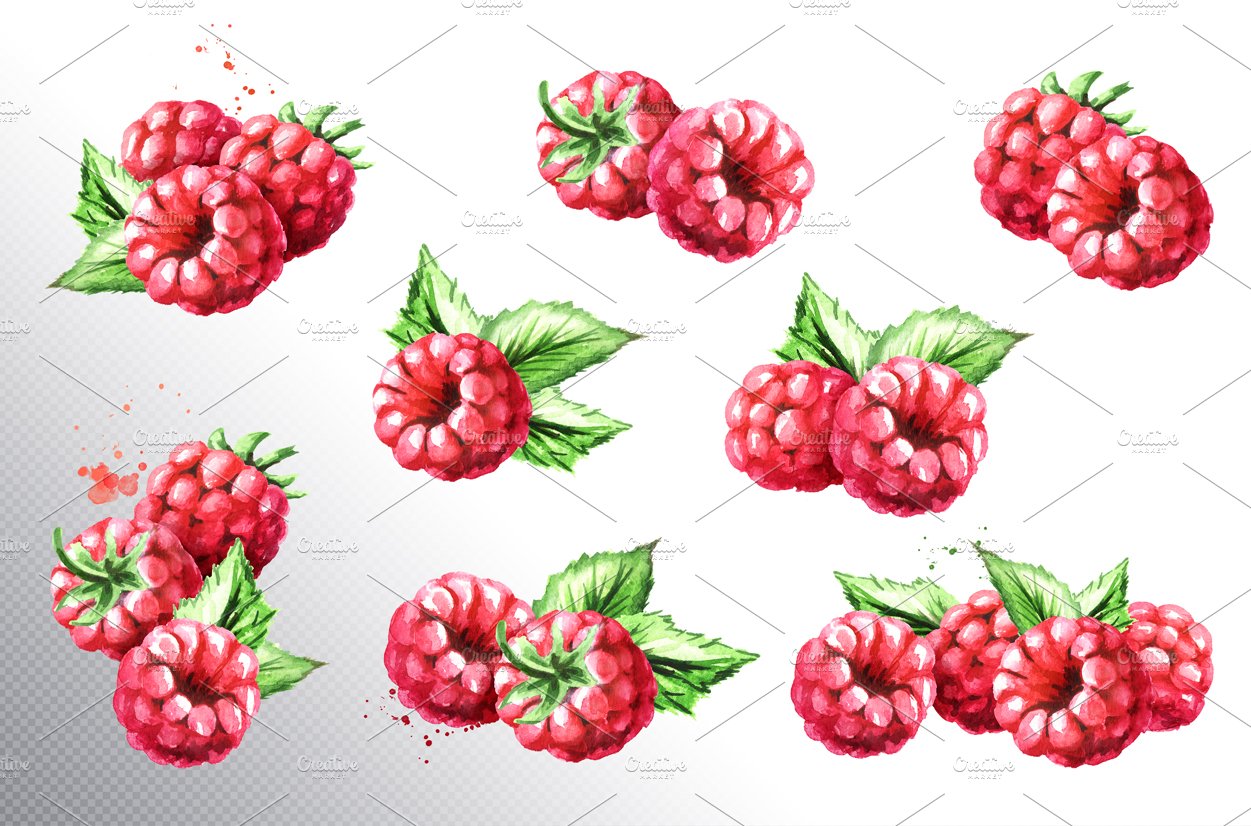 Raspberry. Watercolor collection preview image.