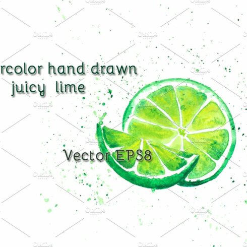 Watercolor juicy lime, vector cover image.
