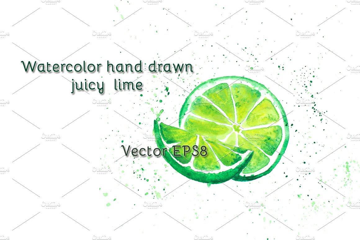 Watercolor juicy lime, vector cover image.