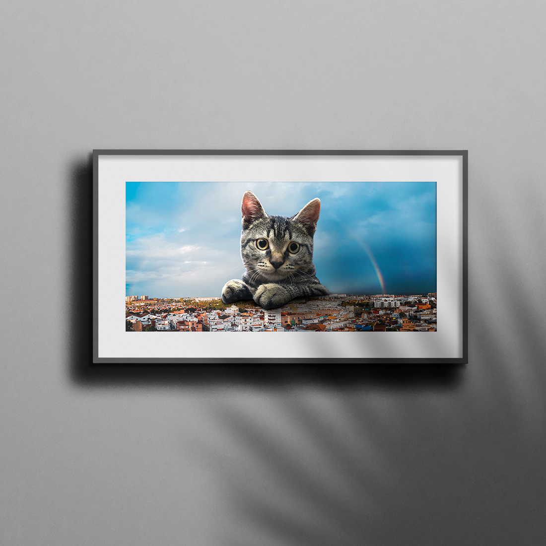 cat look at city with blue sky cover image.