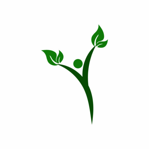 Free organic wonderful logo cover image.