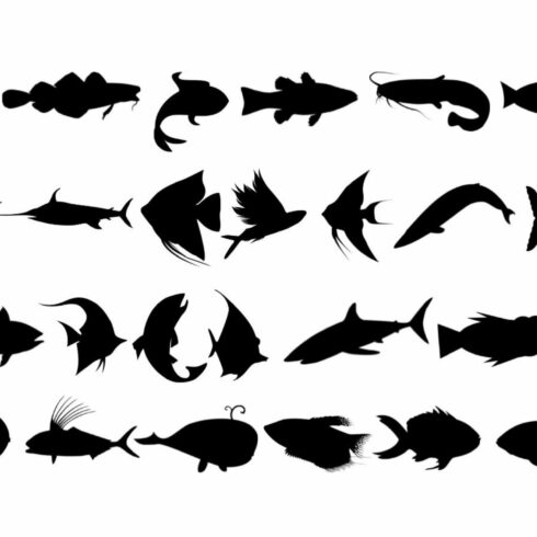 Fish SVG cover image.