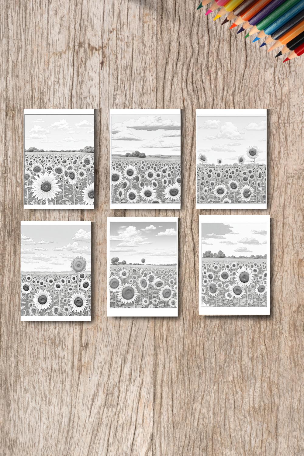 A field of sunflowers with a blue sky and white clouds coloring page pinterest preview image.