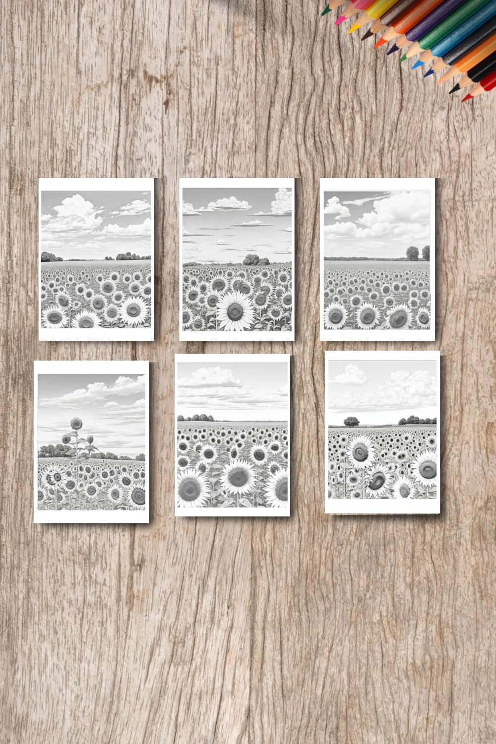 A field of sunflowers with a blue sky and white clouds coloring page 4 pinterest preview image.