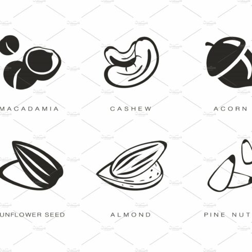 Nuts and seeds icons set, macadamia cover image.