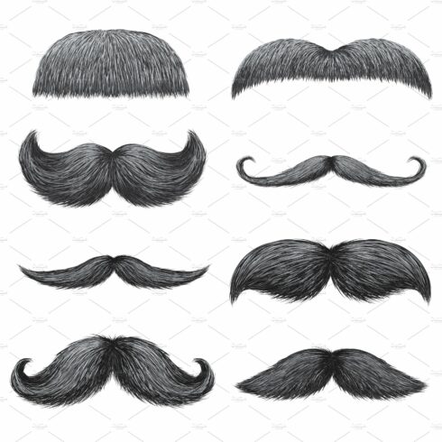 Different styles of male mustaches cover image.