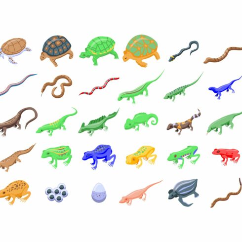 Reptiles and amphibians icons set cover image.