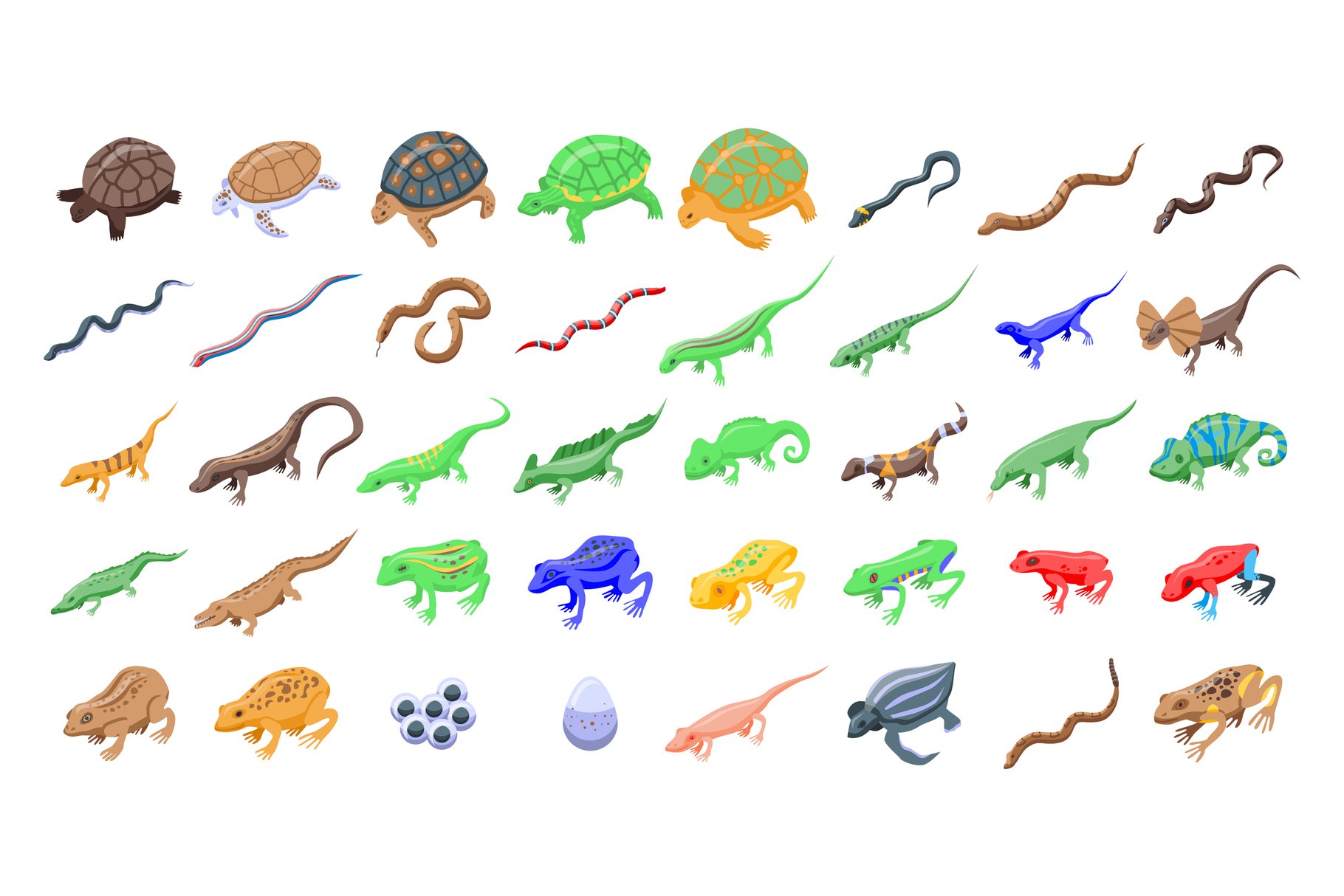 Reptiles and amphibians icons set cover image.