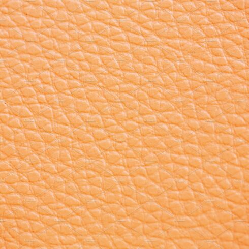Light orange Leather cover image.