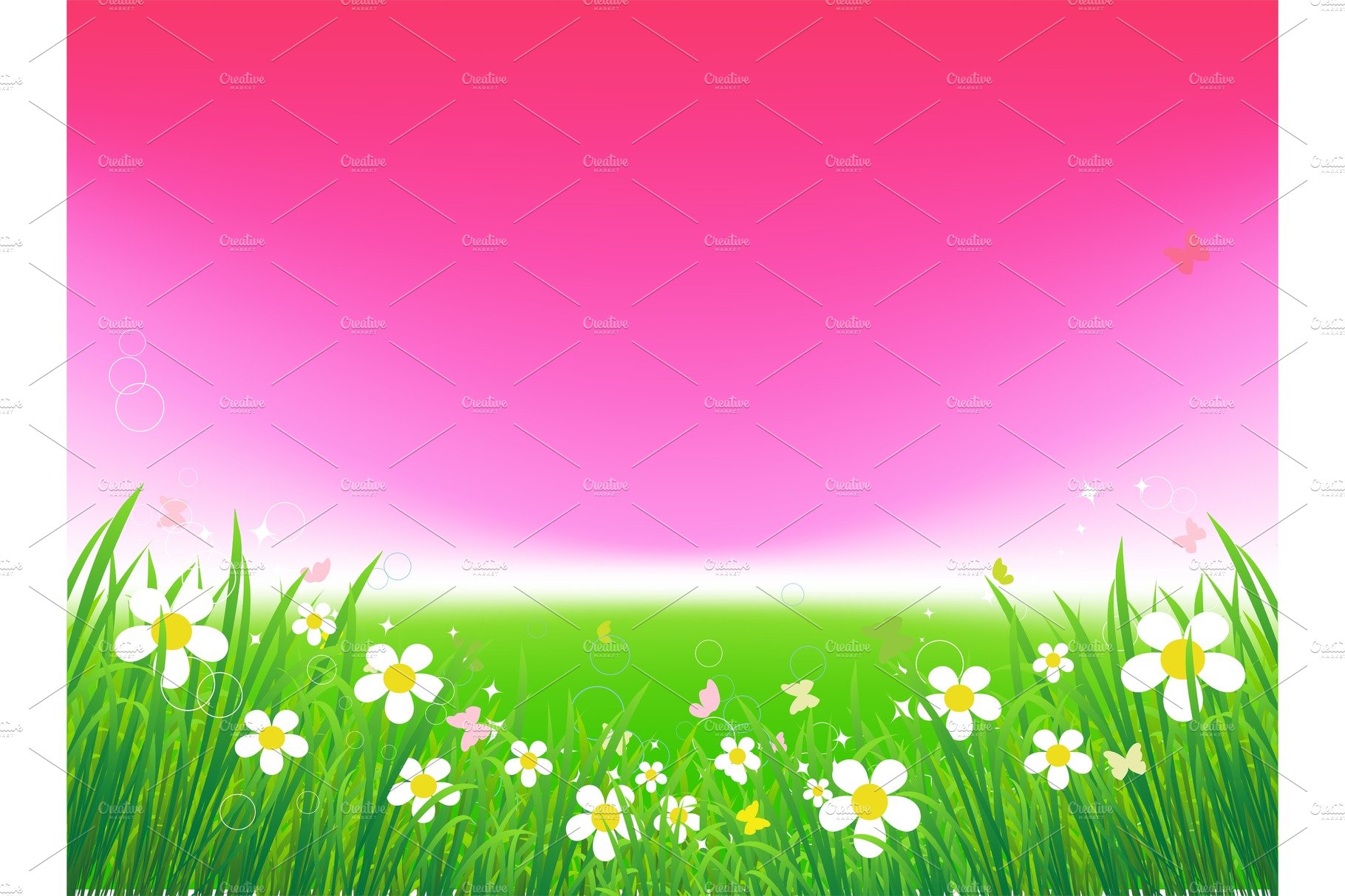 Sunset on green field, summer background cover image.