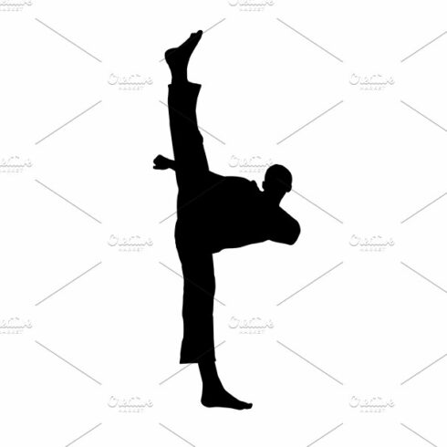 silhouette martial arts high kick cover image.