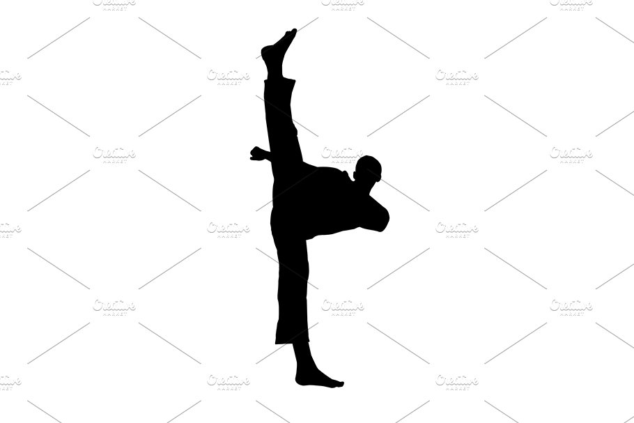 silhouette martial arts high kick cover image.