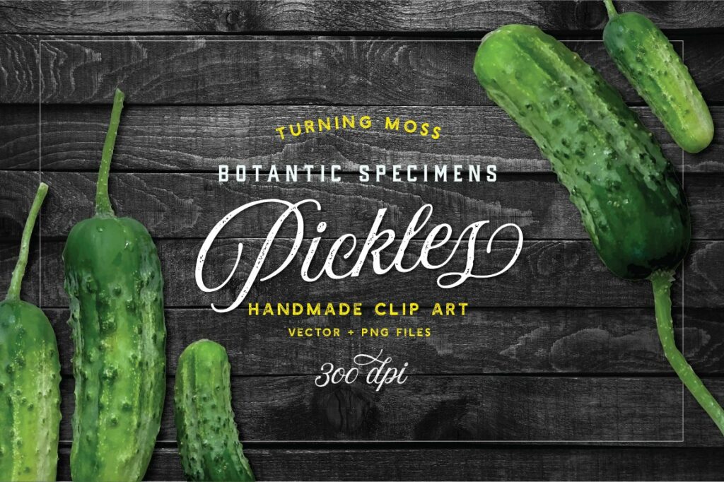 Pickle Vector - Botanic Specimens – MasterBundles
