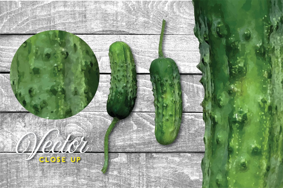 vector pickle packaging pickle clipart 3 613